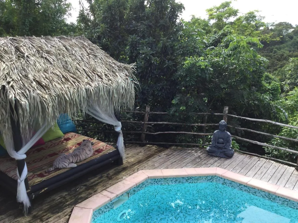 Guest house Racoon Lodge Pointe-a-Pitre  Guadeloupe