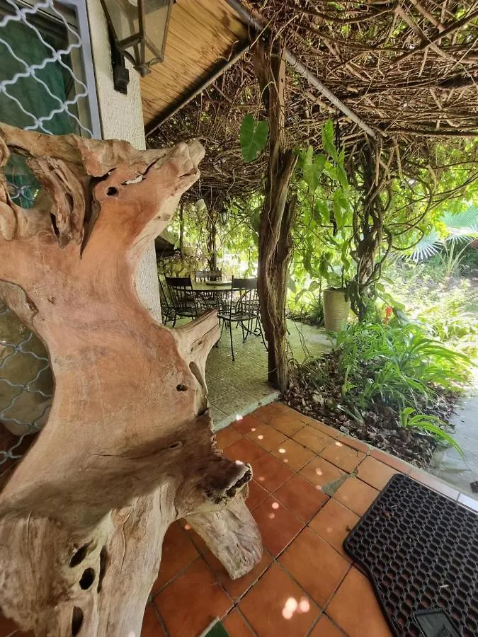Pensionat Racoon Lodge Pointe-à-Pitre Guadeloupe