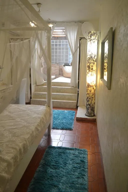 Guest house Racoon Lodge Pointe-a-Pitre  Guadeloupe