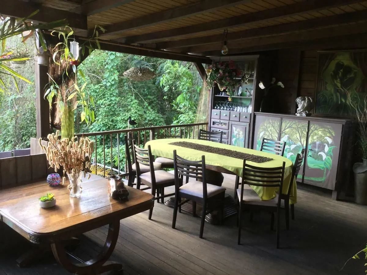 Racoon Lodge Pointe-a-Pitre  Guest house