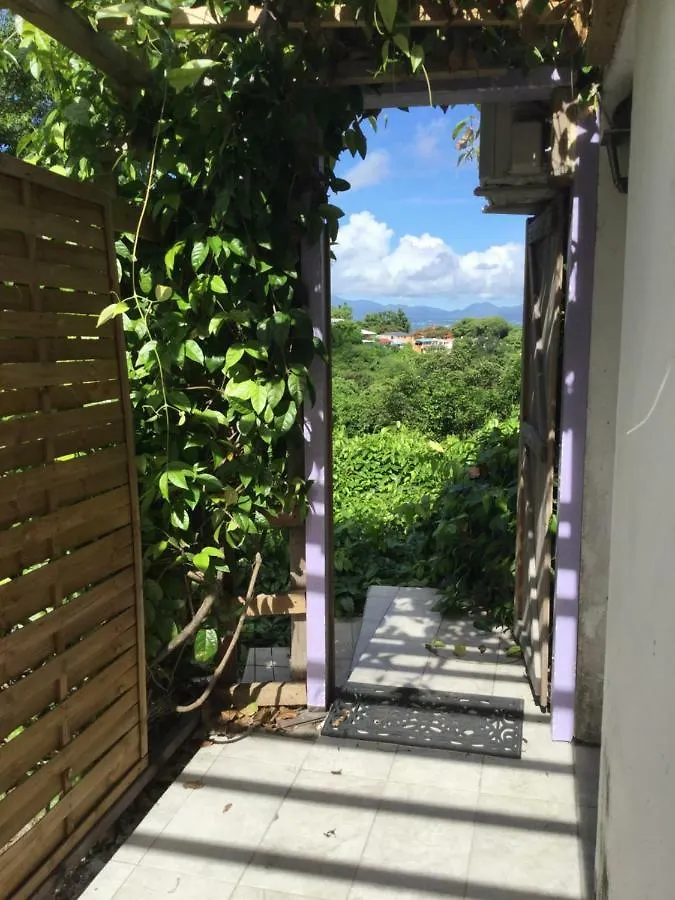 Racoon Lodge Pointe-a-Pitre  Pointe-a-Pitre (Grande-Terre)