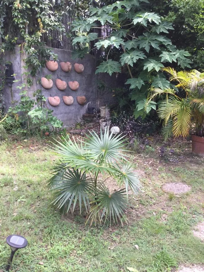 Racoon Lodge Pointe-a-Pitre  Guest house