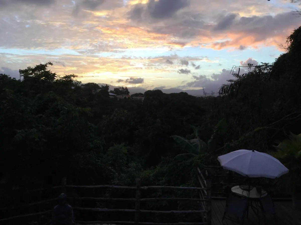 Racoon Lodge Pointe-a-Pitre  Guest house Pointe-a-Pitre (Grande-Terre)