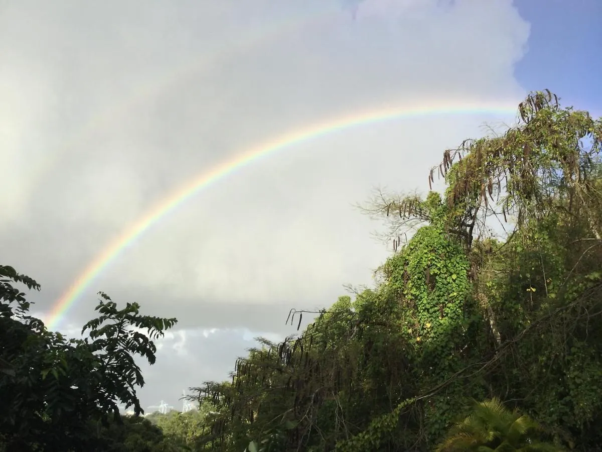 Guest house Racoon Lodge Pointe-a-Pitre  Guadeloupe
