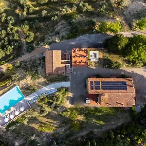 La Collina Degli Olivi Bed & Breakfast Certaldo